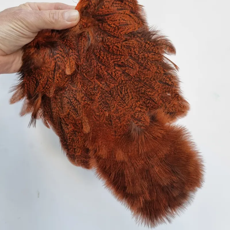 Whiting Coq de Leon Hen Soft Hackle with Chickabou in Speckled Orange-9